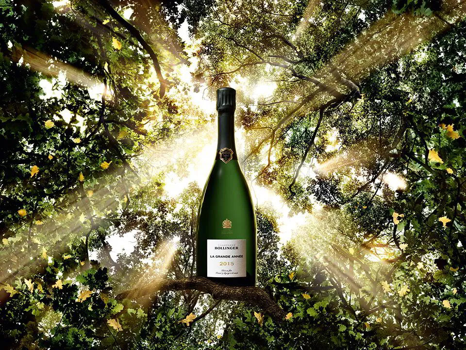 Bollinger La Grande Année 2015: A Symphony of Elegance and Tradition